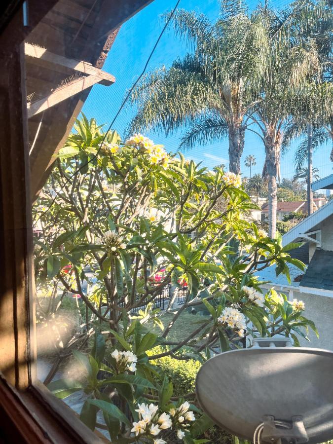 Echo Zen Hostel Los Angeles Ngoại thất bức ảnh